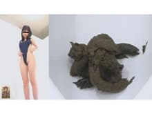 6カメWフルショット SEXYハイレグ水着脱衣･全裸放屁大便 サンプル画像 3