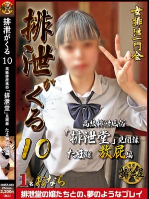 排泄がくる10　高級排泄風俗「排泄堂」見聞録　たま嬢　放屁編 サンプル画像 1